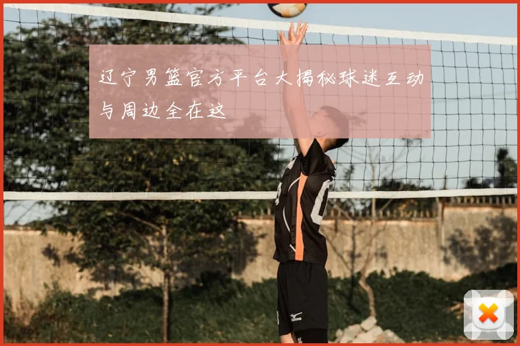 辽宁男篮官方平台大揭秘球迷互动与周边全在这