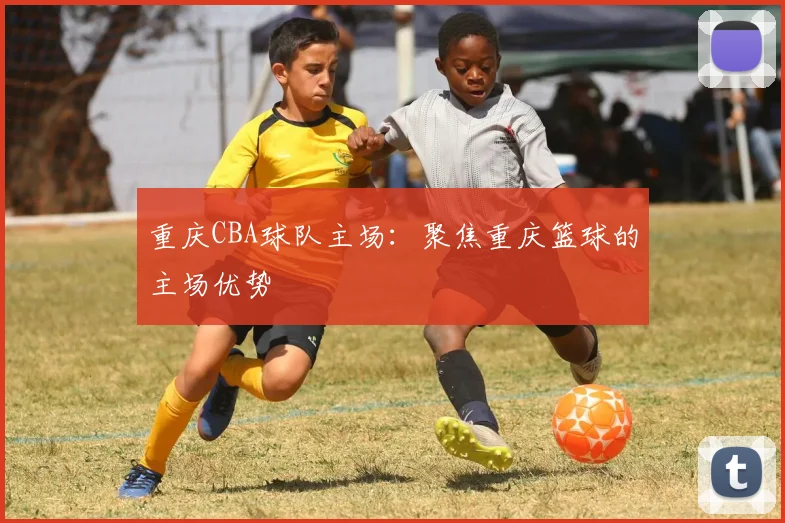 重庆CBA球队主场:聚焦重庆篮球的主场优势