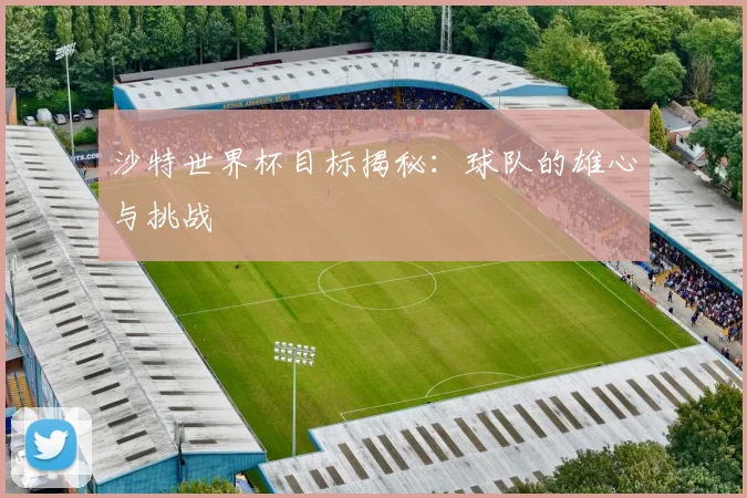 沙特世界杯目标揭秘：球队的雄心与挑战