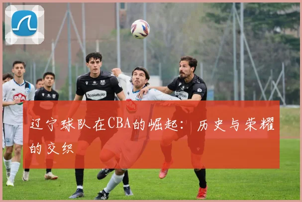 辽宁球队在CBA的崛起：历史与荣耀的交织