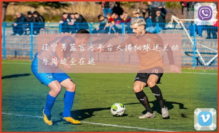 辽宁男篮官方平台大揭秘球迷互动与周边全在这